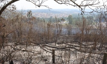 Estudo aponta que financiamento climático no Brasil é desigual