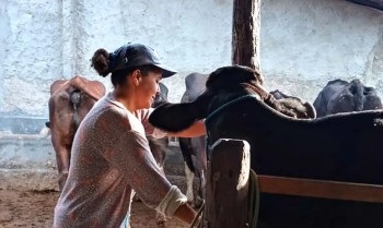 Mulheres rurais enfrentam informalidade e desigualdade no campo