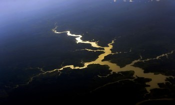 Captura de carbono na Amazônia está em risco, diz estudo