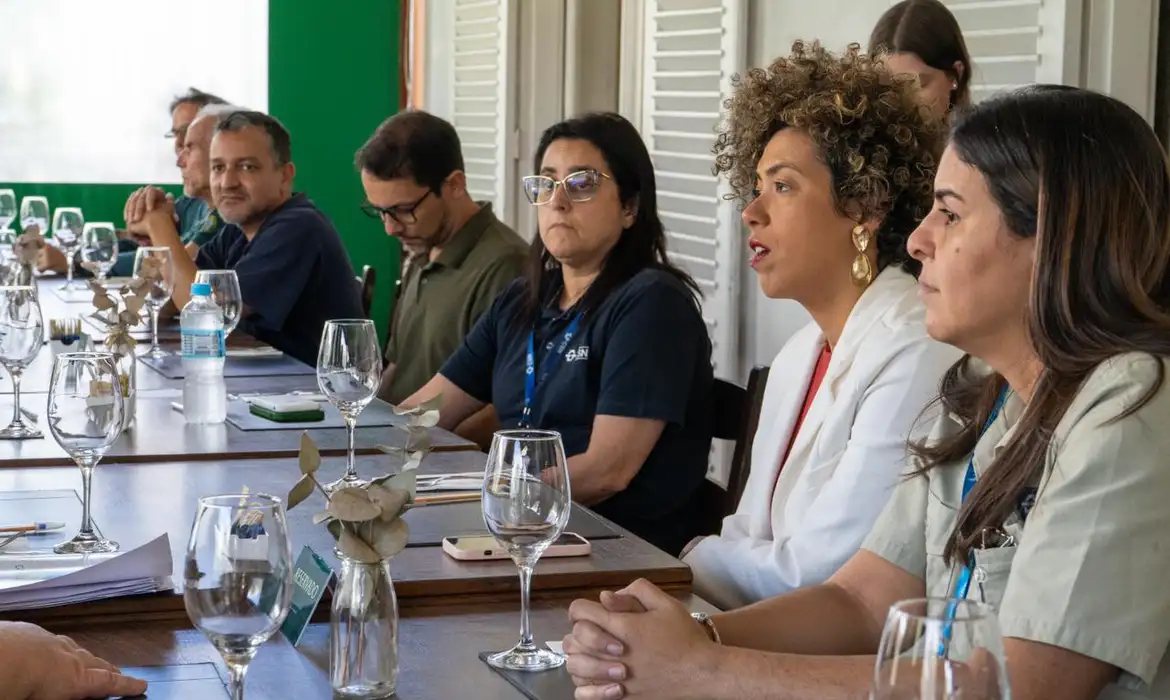 Comissão da Câmara pede que Ibama fiscalize crimes ambientais da CSN