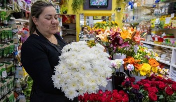 Chegada do Dia de Finados projeta crescimento na venda de flores em Mogi