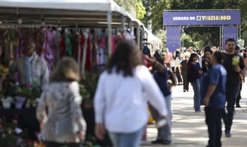Desemprego no trimestre cai para menor taxa da série histórica