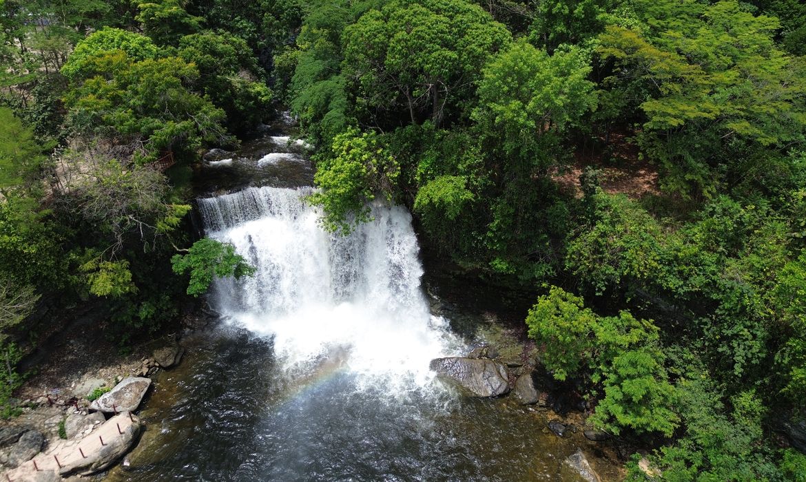 Fronteira Cerrado: ativistas pedem mesma prioridade dada à Amazônia