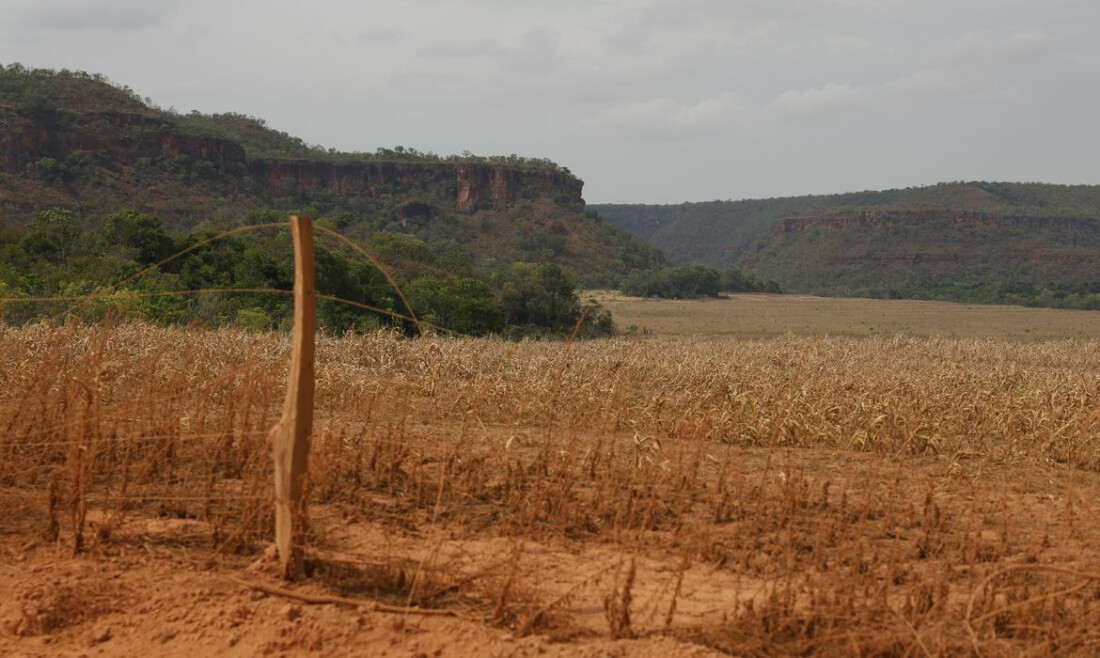 Fronteira Cerrado: acesso desigual ao Estado agrava conflitos agrários
