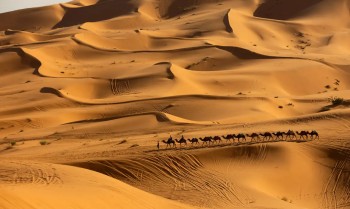 Pesquisa prevê mudanças no clima do Deserto do Saara nos próximos anos