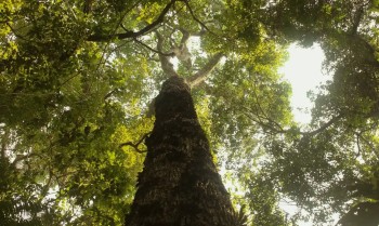 TV Brasil estreia nova temporada de "Parques do Brasil" neste domingo