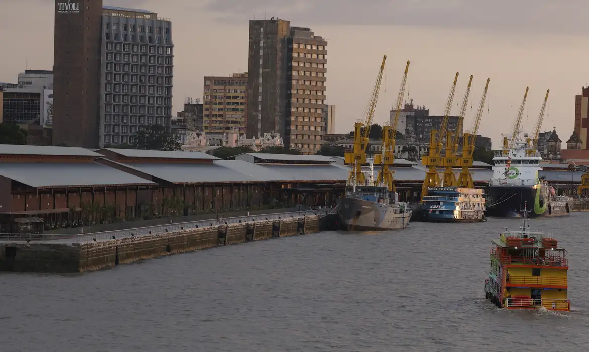 Delegado aponta risco no combate a crimes ambientais com PL Antifacção