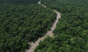 Áreas protegidas são quase metade da Amazônia Legal, mostra IBGE