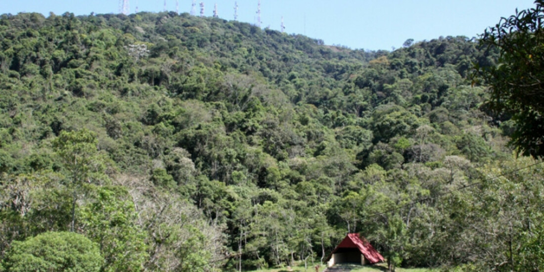 Parque Municipal recebe mais de 200 estudantes