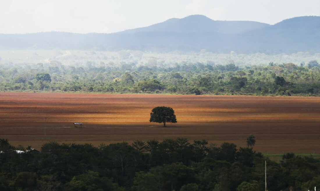 COP30: governo cobra R$ 476 milhões de infratores ambientais 