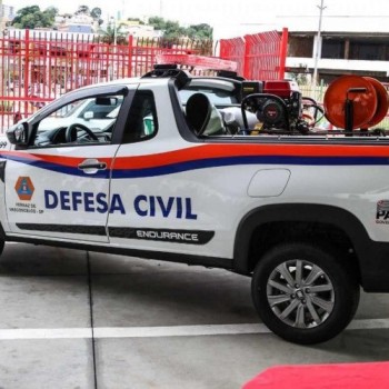 Chuva provoca queda de árvores na região