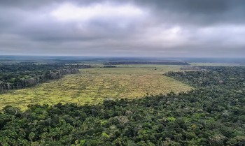 Sociedade civil vê retrocesso grave em queda de vetos de PL Ambiental