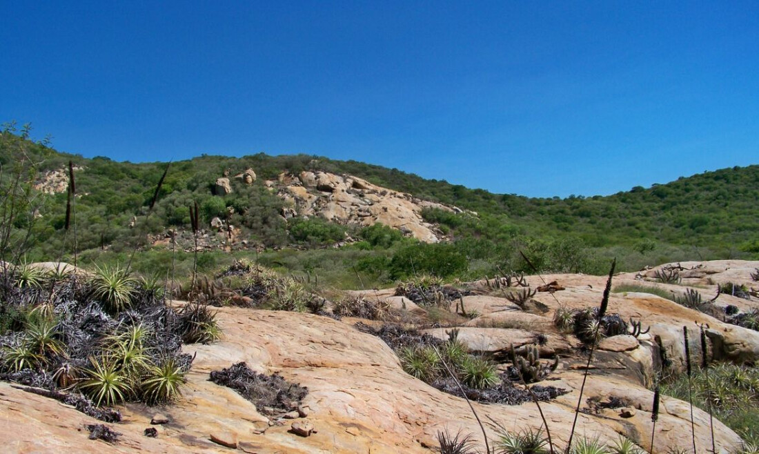 Geoparque Seridó é tema do Caminhos da Reportagem desta segunda