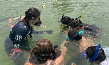 Projeto no Rio forma guardiões de cavalos-marinhos de 12 a 14 anos