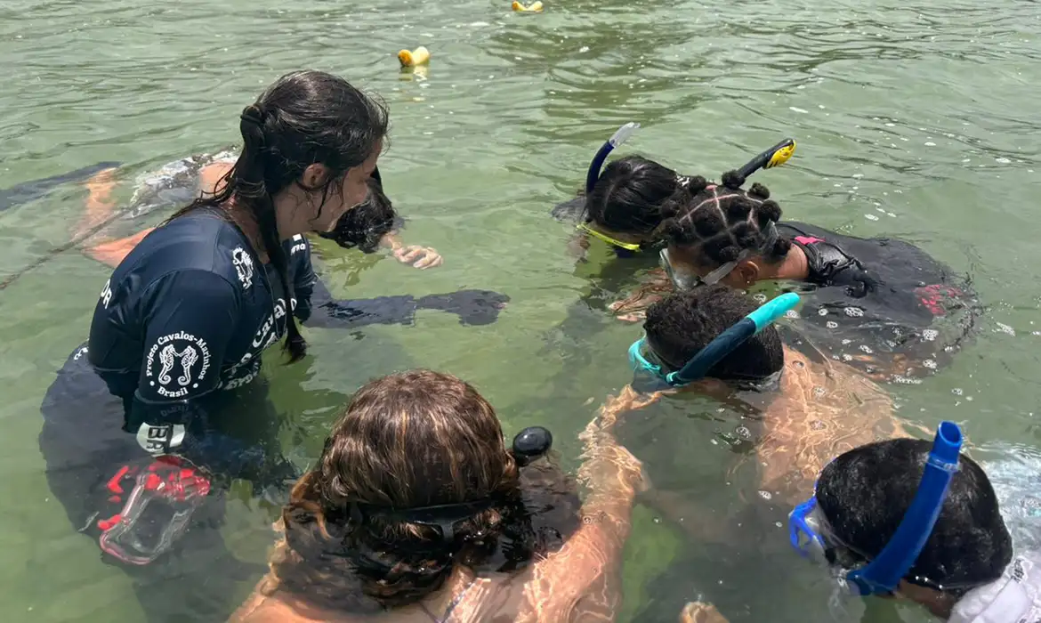 Projeto no Rio forma guardiões de cavalos-marinhos de 12 a 14 anos