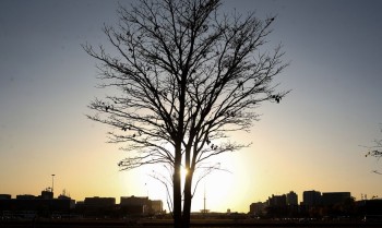 Organização Meteorológica Mundial prevê La Niña fraco