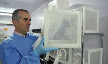 Brasileiro criador do "Aedes" que bloqueia dengue é eleito pela Nature