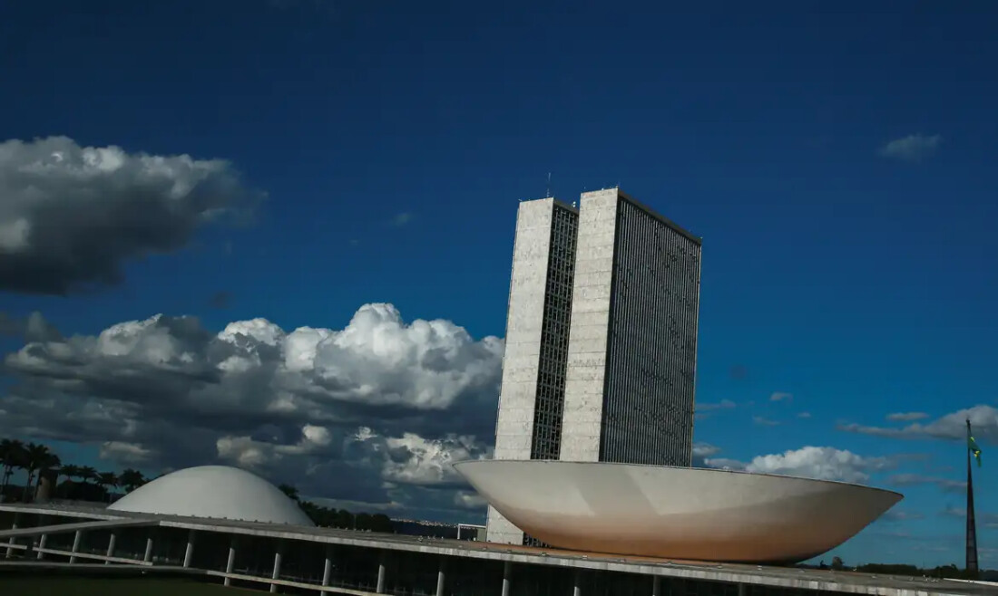 Câmara tem baixa atuação em pautas de igualdade racial, diz pesquisa