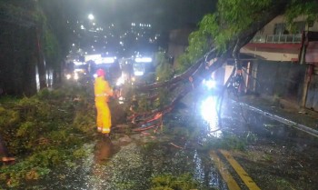 Ciclone deixa 1,2 milhão clientes sem energia em São Paulo