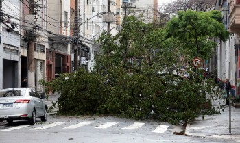 Prefeitura fecha todos os parques de São Paulo por causa dos ventos