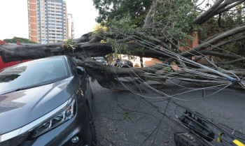 Comércio perde mais de R$ 50 milhões com falta de energia em São Paulo