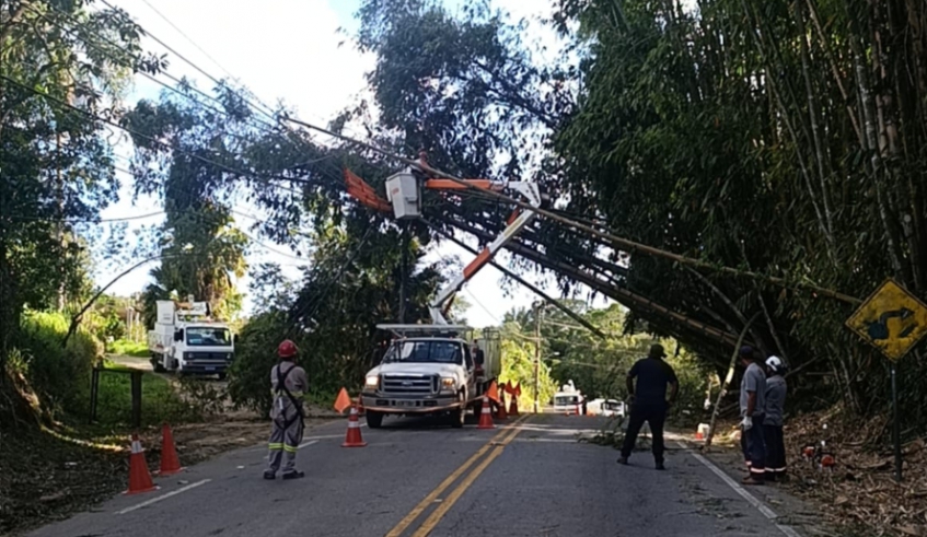 Serviços Urbanos faz 45 remoções de galhos e árvores nos últimos 3 dias