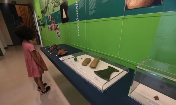 Exposição mostra achados arqueológicos sobre origens da cidade de SP