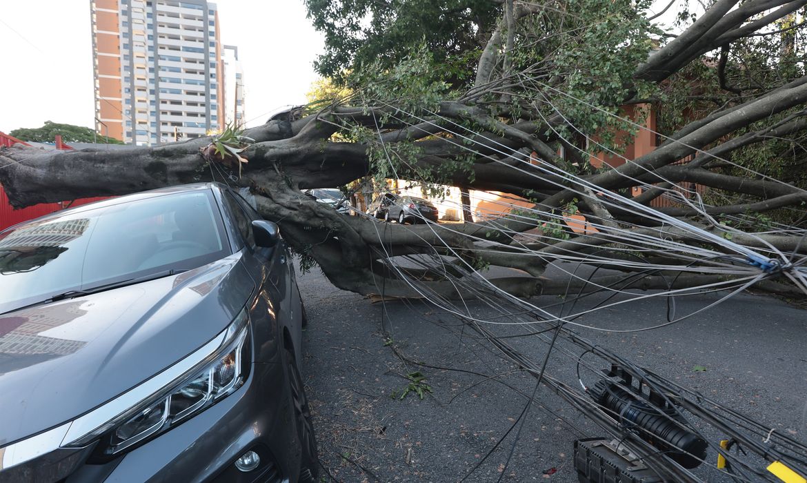 Cinco dias após ciclone, 30 mil clientes estão sem energia em SP