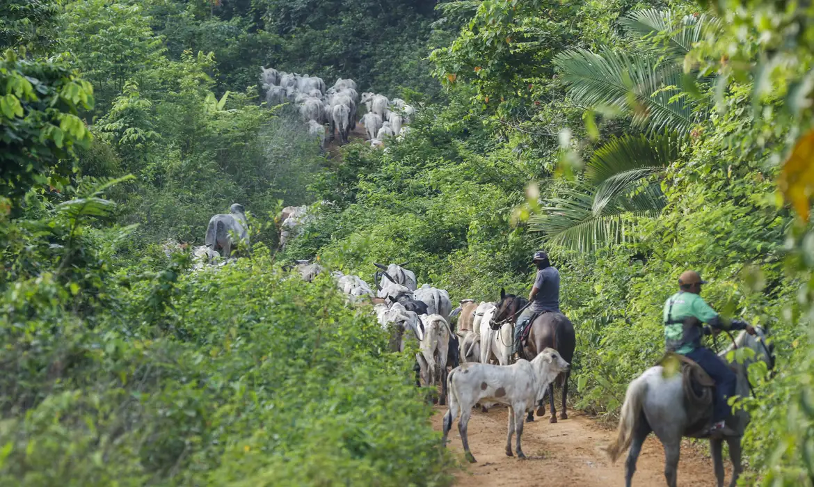 Operação em terra indígena no Pará resulta em mais um assassinato