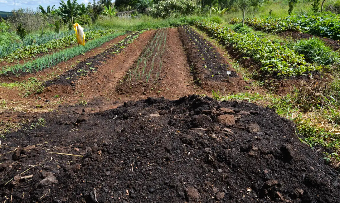 CMN amplia socorro a produtores afetados pelo clima
