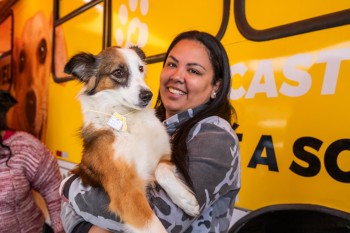 Ferraz realiza mais de 3,3 mil castrações de cães e gatos em 2025