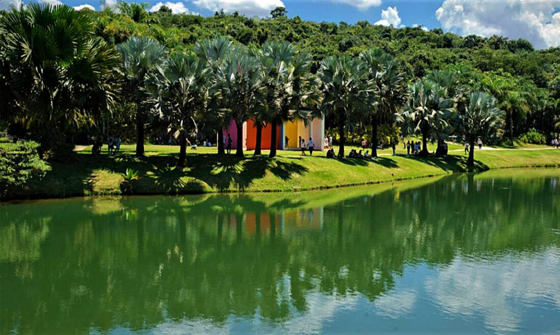Museu Inhotim, em Minas Gerais, tem recorde de visitação em 2025