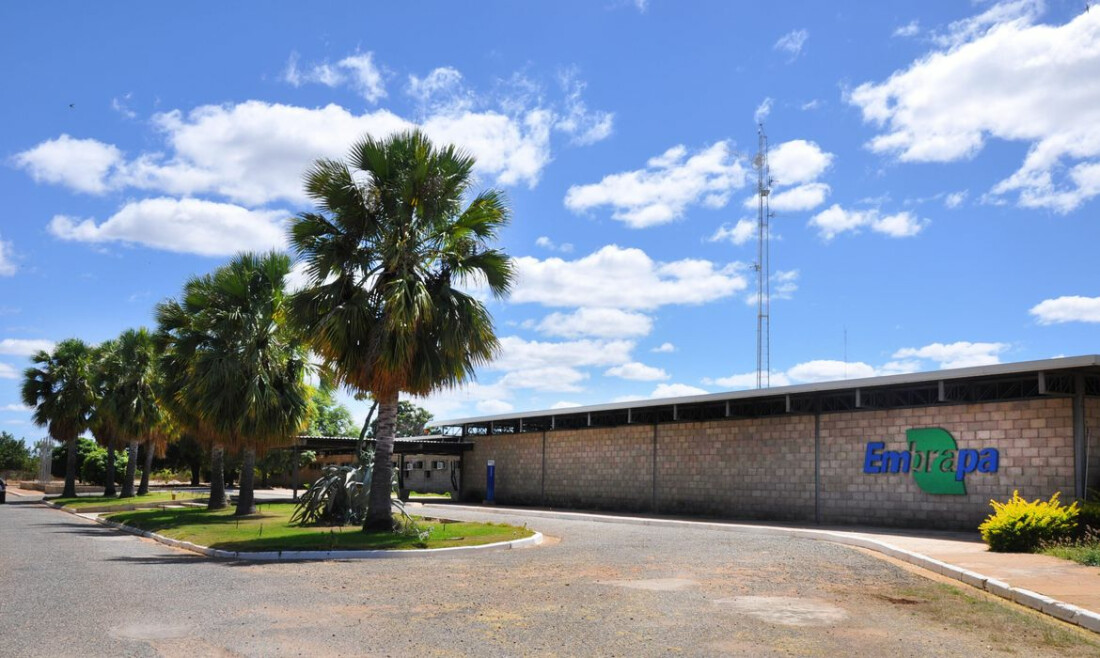 Aplicativo gratuito da Embrapa ajuda a planejar barragens no semiárido