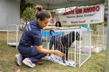 Mais de 80 animais esperam por um lar em Itaquá