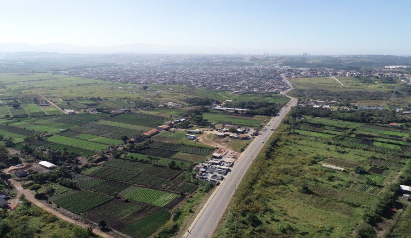 Variações no clima são desafios para produtores de Mogi e região 