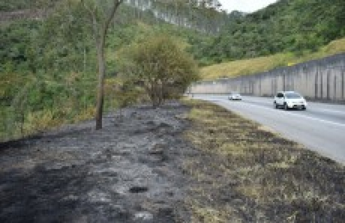 Região alcança em três meses total de queimadas de 2022