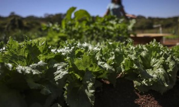 Acordo garante terras a 3 mil famílias em assentamentos no Paraná
