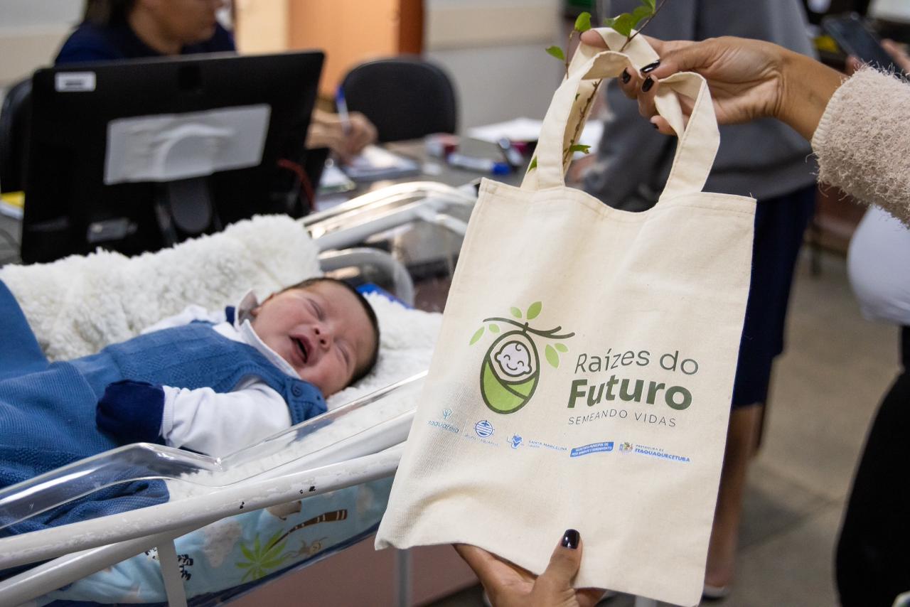 Em Itaquá, programa Raízes do Futuro já distribuiu 200 mudas em sete meses