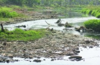 114 indústrias são multadas por crime ambiental em 2015