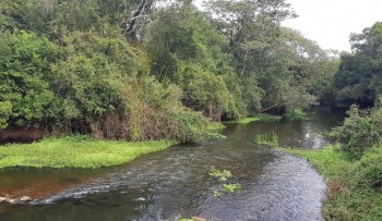 Semae e UMC firmam acordo de cooperação para pesquisa sobre rio Tietê