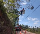 EDP realiza mutirão de podas e modernização da rede elétrica em Mogi das Cruzes