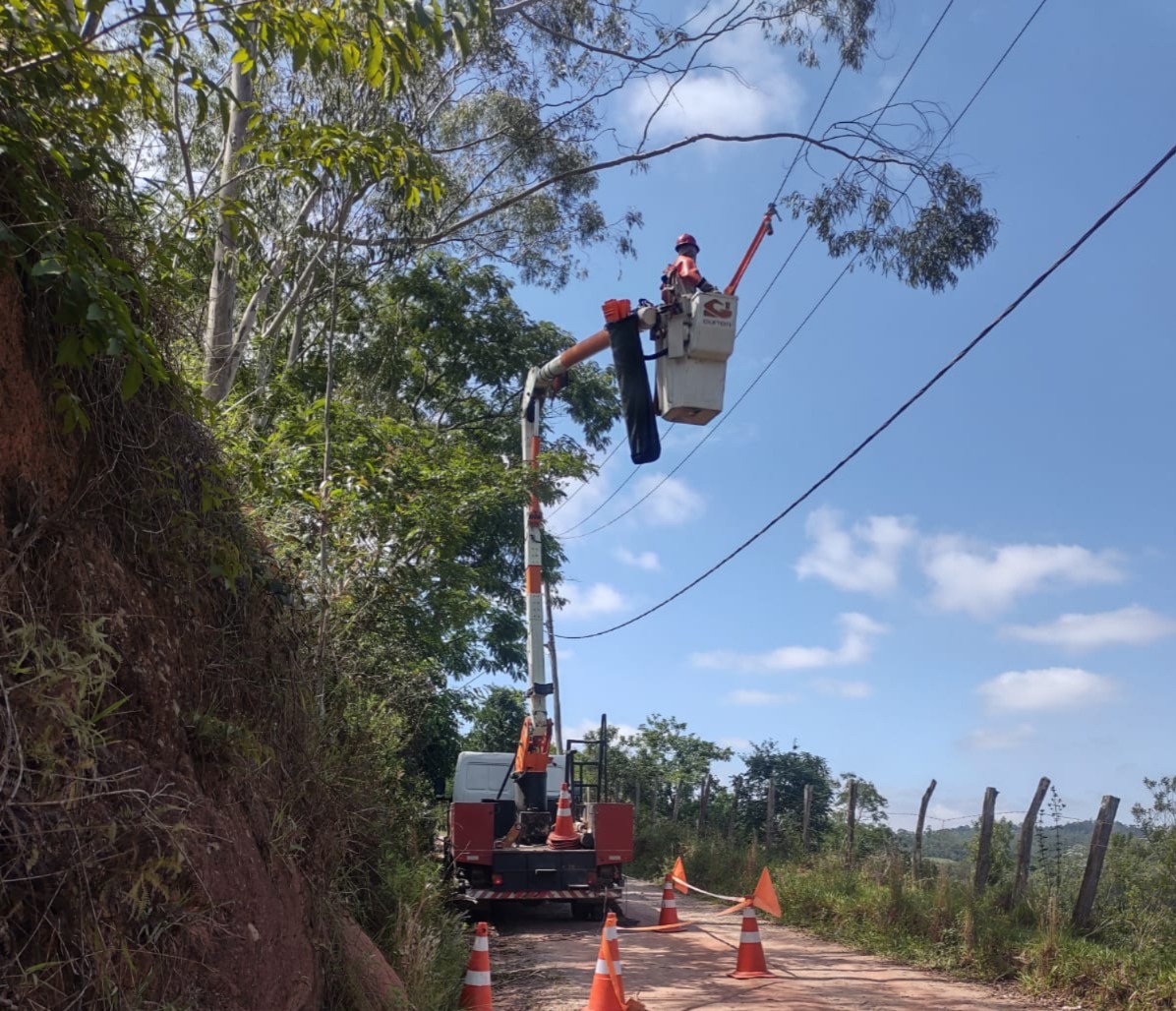 EDP realiza mutirão de podas e modernização da rede elétrica em Mogi das Cruzes