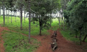 Produção inédita resgata histórico Caminho do Peabiru na TV Brasil