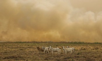 Janeiro tem número de focos de calor duas vezes maior que a média