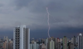 SP registra desabamentos e quedas de árvore por chuva forte