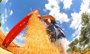 Produção de grãos pode chegar a 353,4 milhões de toneladas