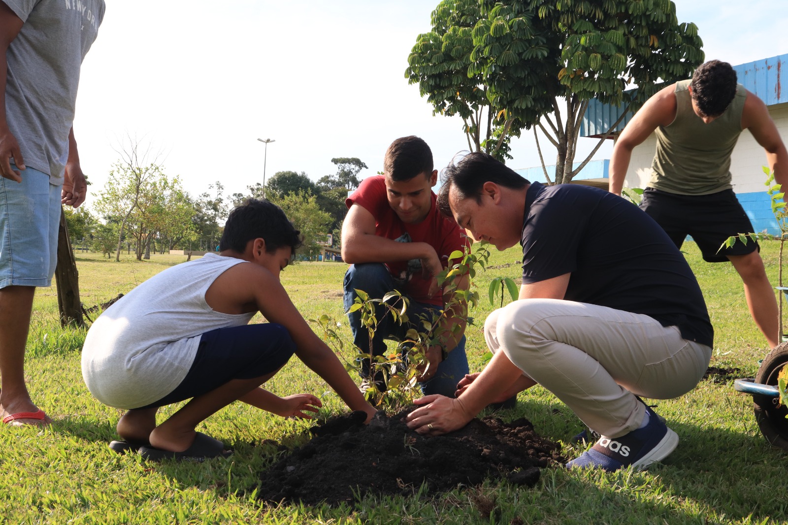 Meio Ambiente de Suzano abre inscrições para novo mutirão de plantio de árvores 