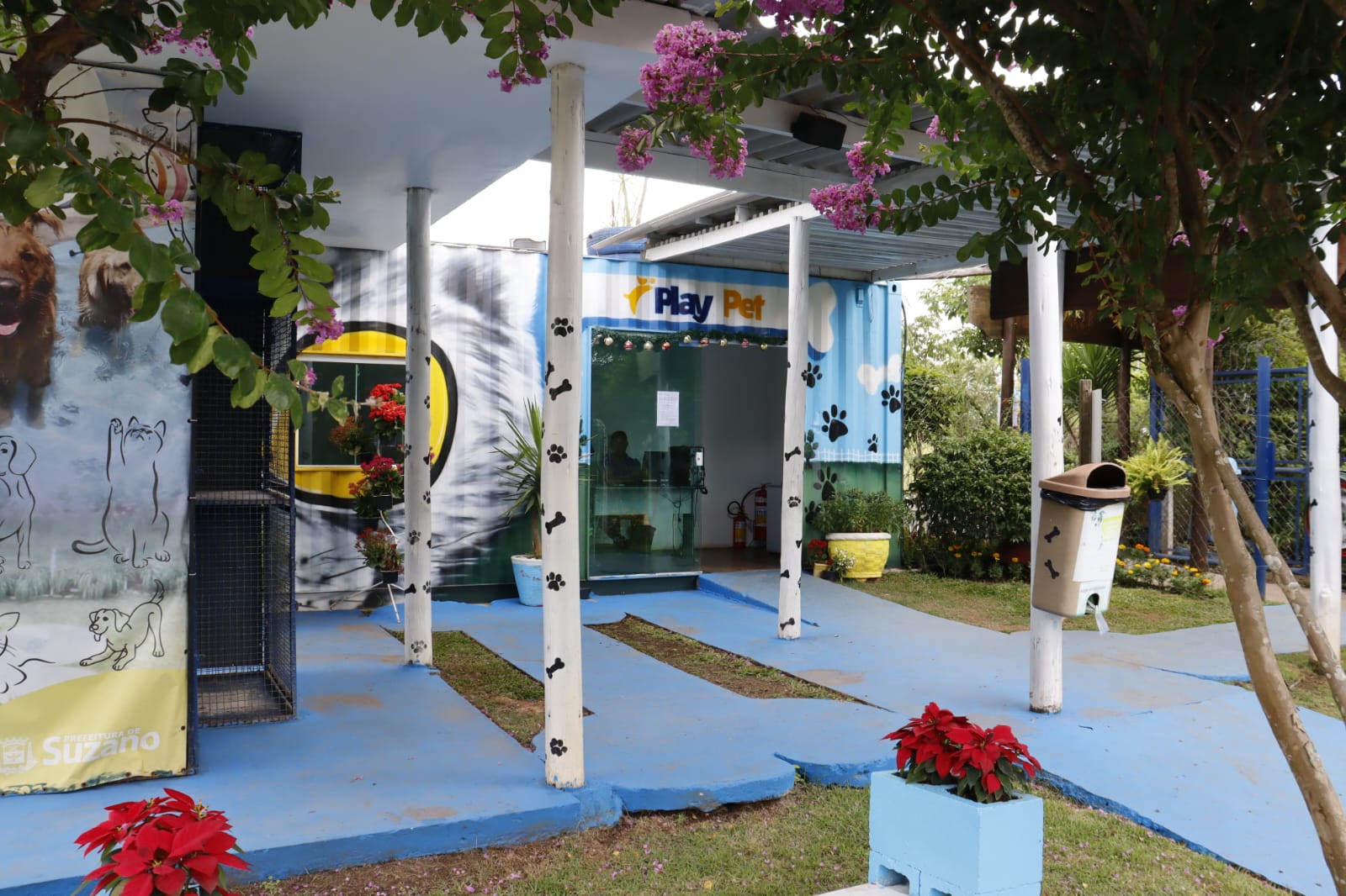 PlayPet soma 196 novas carteirinhas em 2025 e mantém espaço ativo para cães