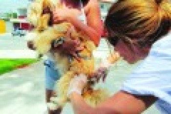 Antirrábica deve imunizar mais de 50 mil animais no Alto Tietê