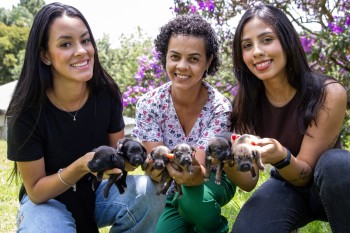 Itaquá registra 37 adoções de cães e gatos em 2026